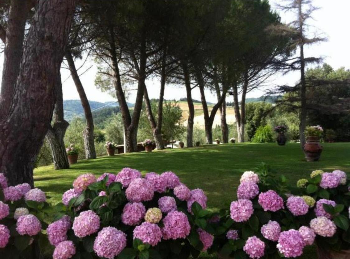 Agriturismo Le Querciole Casciana Terme Exterior photo
